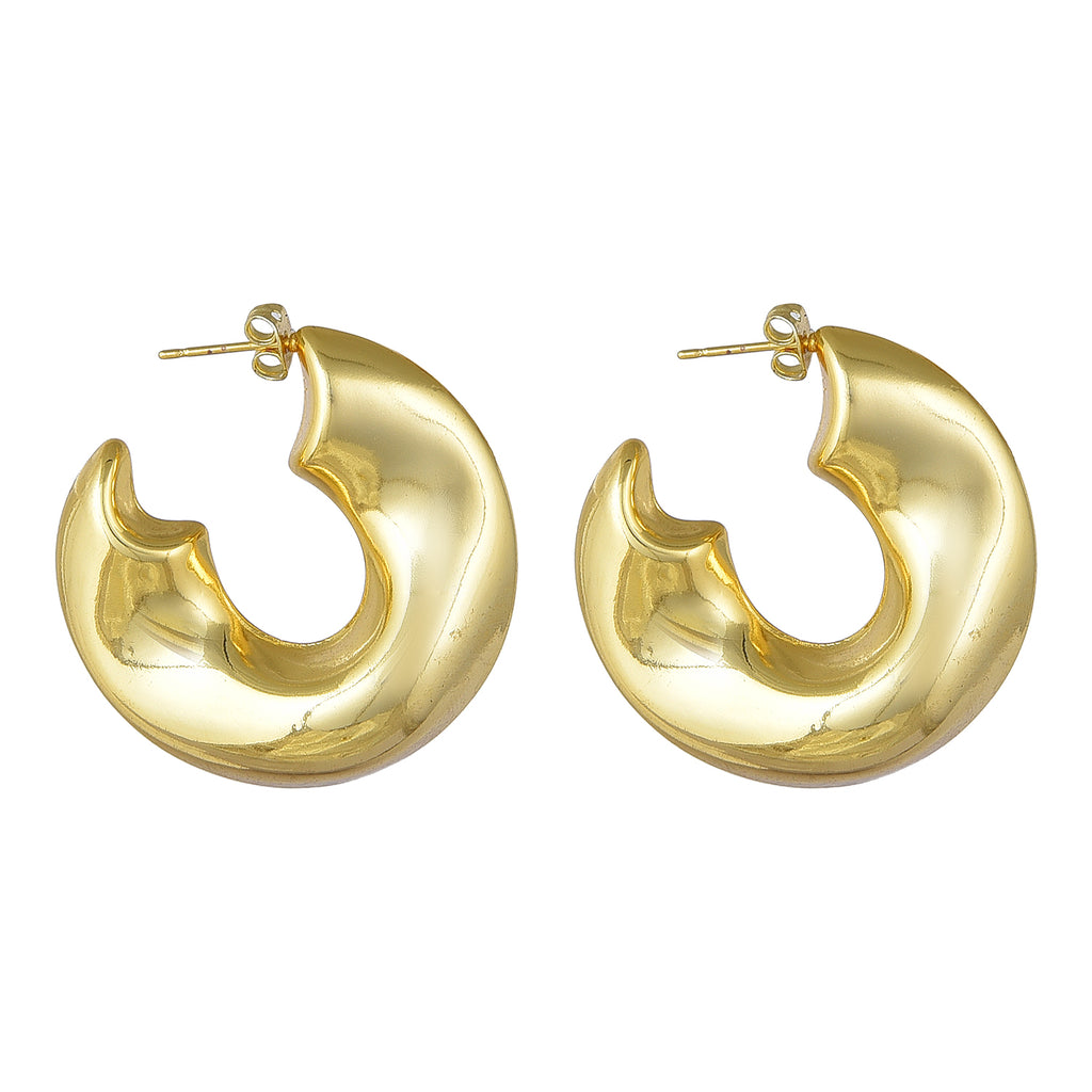 Curve wave Earring