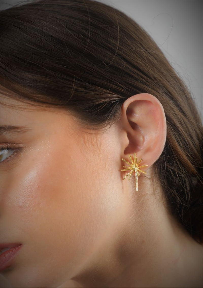 Add Sparkle to Your Everyday Look with Merald Curio's Trendy Earrings - SPARK - Merald Curio